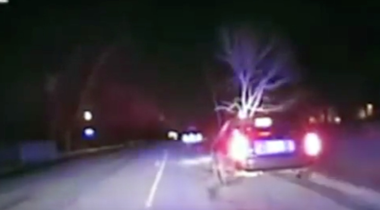 Police dash cam shows tree stuck in car of woman later charged with DUI