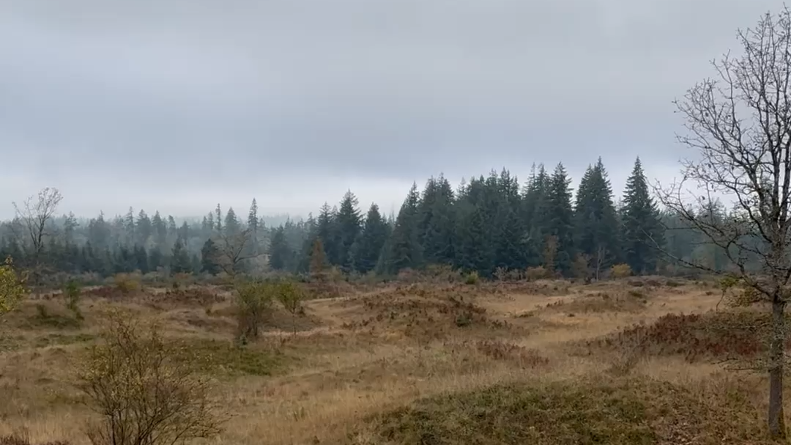 Visiting these WA geological wonders is mystical — if you can stand the gunfire