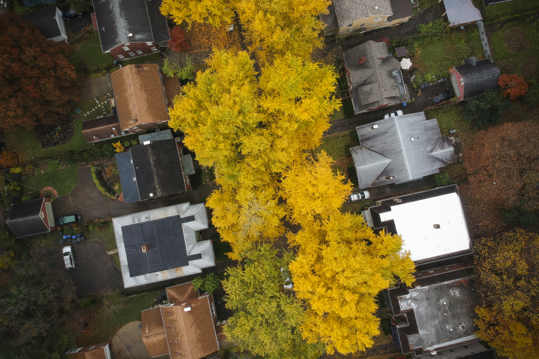 First day of fall brings warnings of wildfire danger, sexy Mister Rogers costume