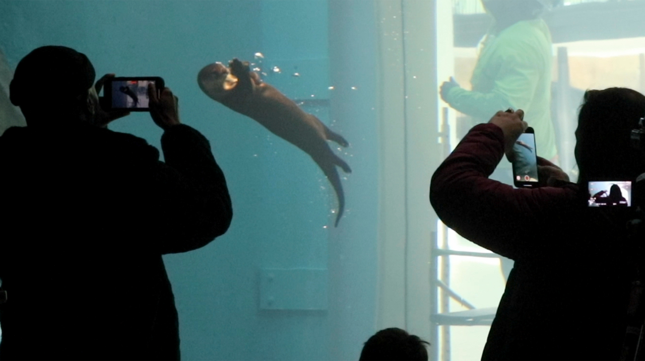 Coronavirus pandemic closes St. Louis Aquarium and City Museum