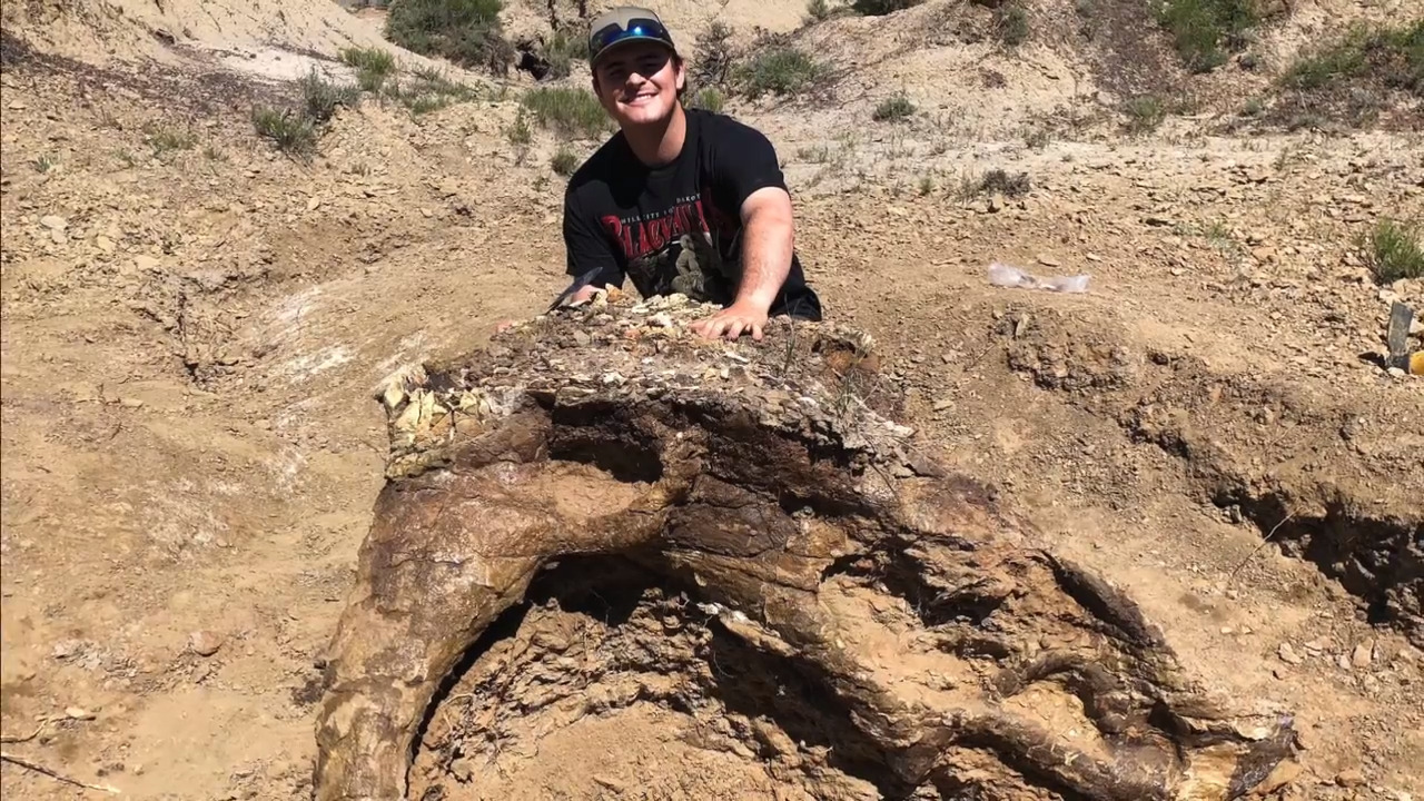UC Merced student discovers giant dinosaur skull. It’s 65 million years old