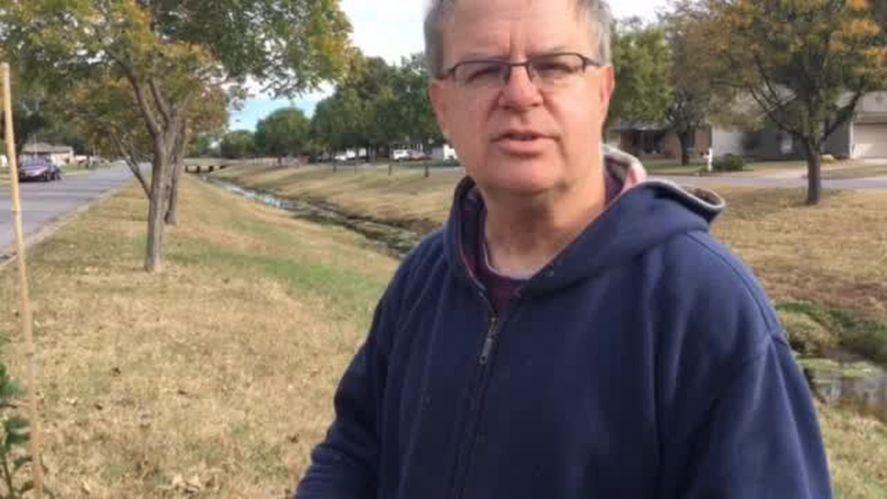 VIDEO: Fall is tree planting season