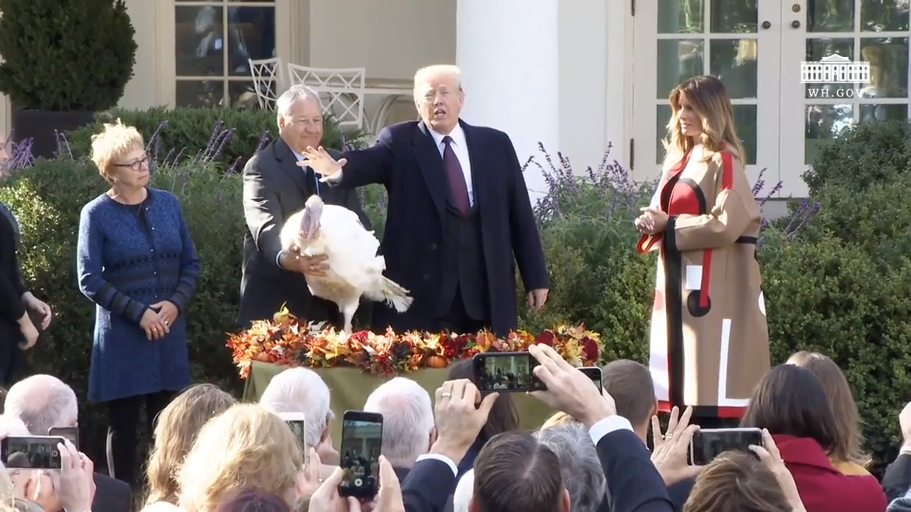 ‘Godfather of American poultry’ keeps raising a different sort of bird