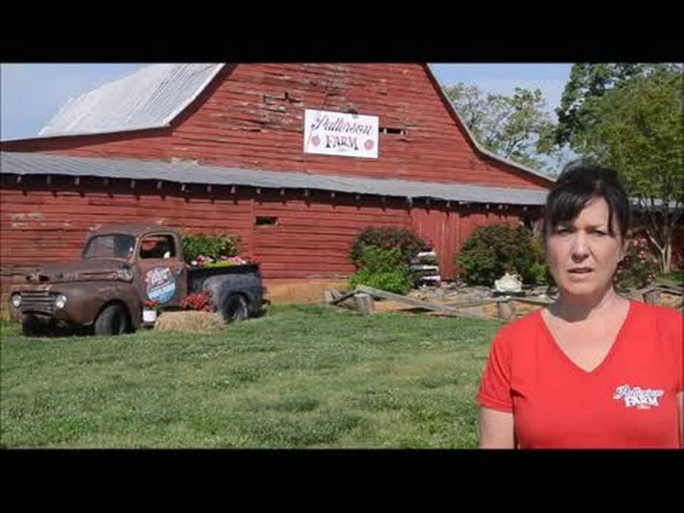 Opening day at Patterson Farm