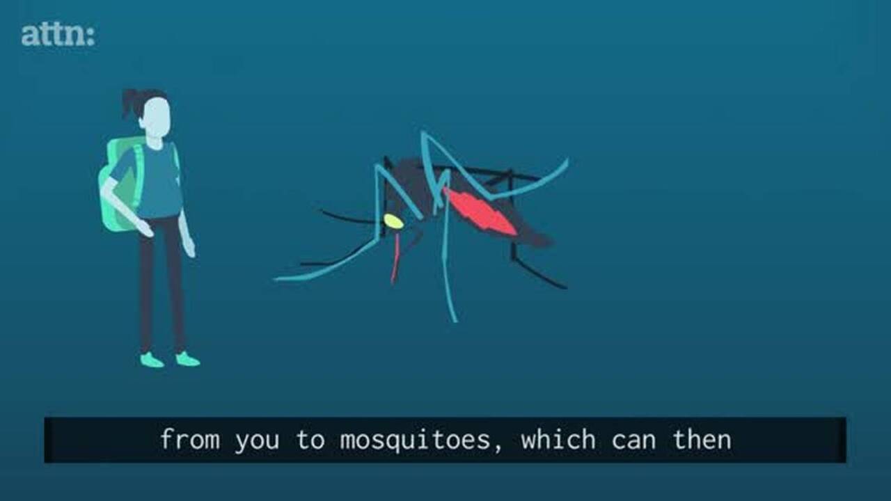 School district sends letter to parents about Zika