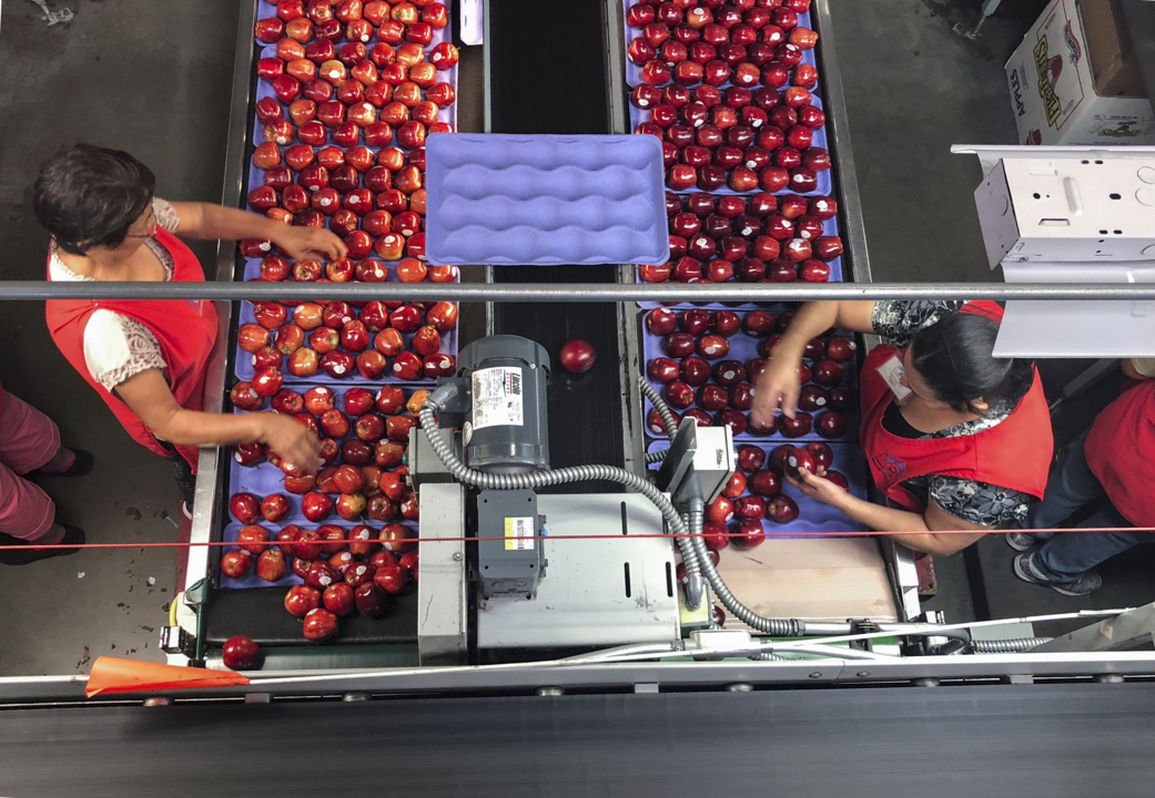 How much did the Trump administration pay Washington farms to make up for the trade war?