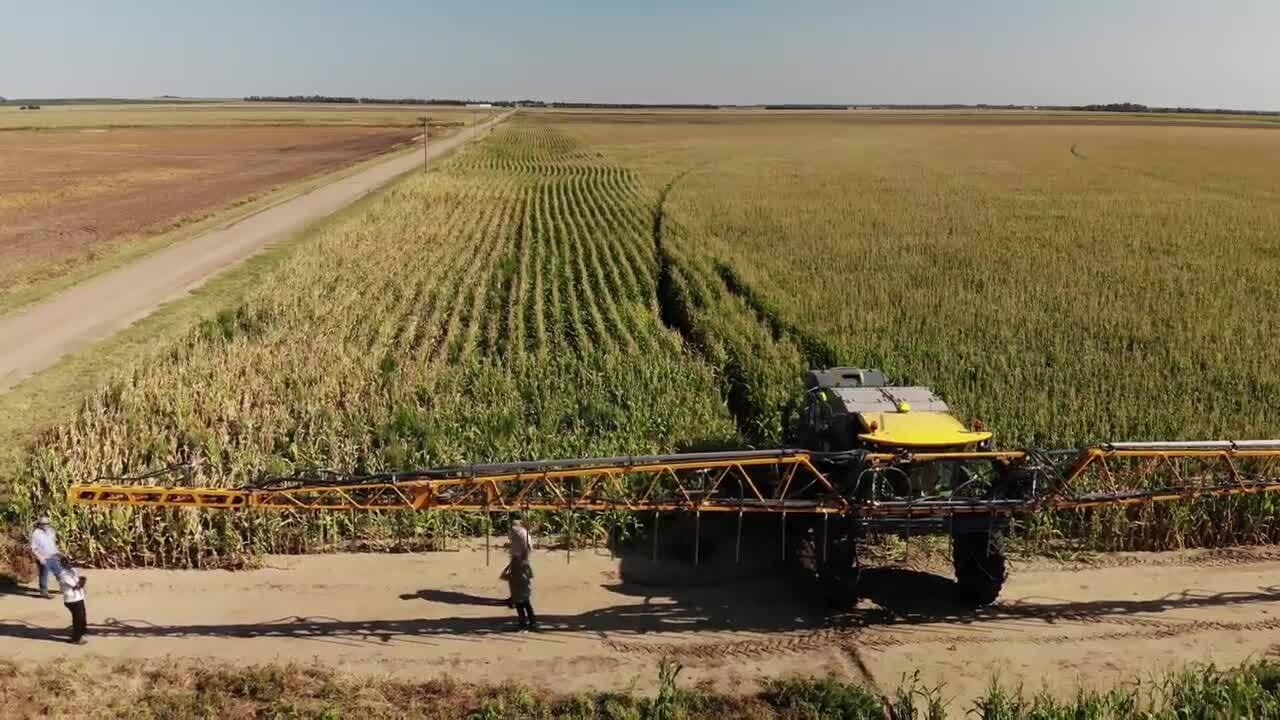 Kansas farmers have new tool for growing two crops at once, which could improve water