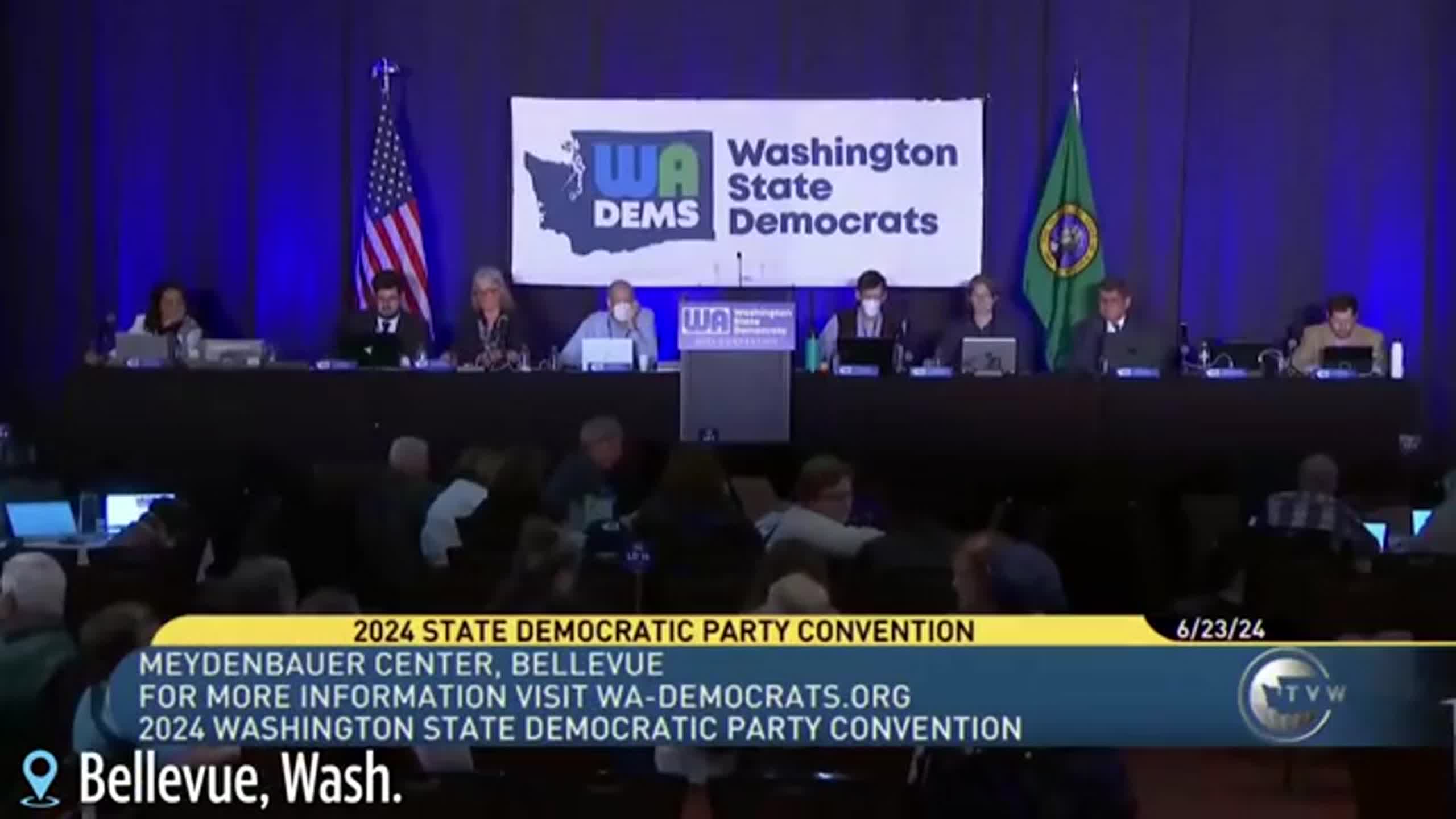 Why Gaza-related resolutions divided the Democrats at their convention
