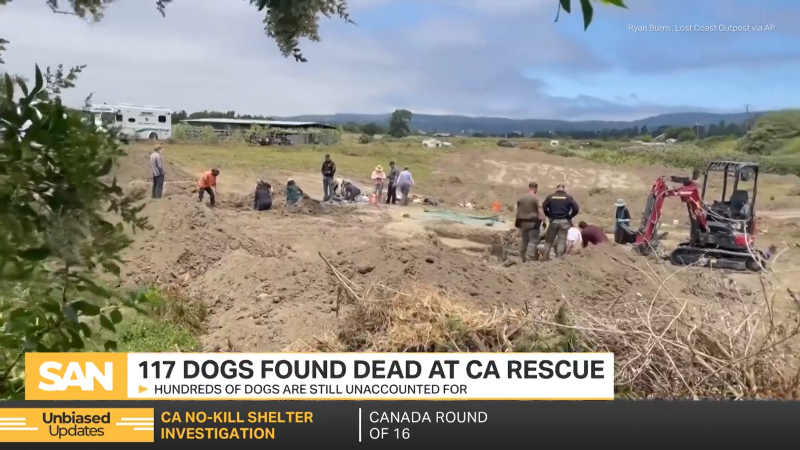 This California ‘no-kill’ rescue is under investigation after mass graves found