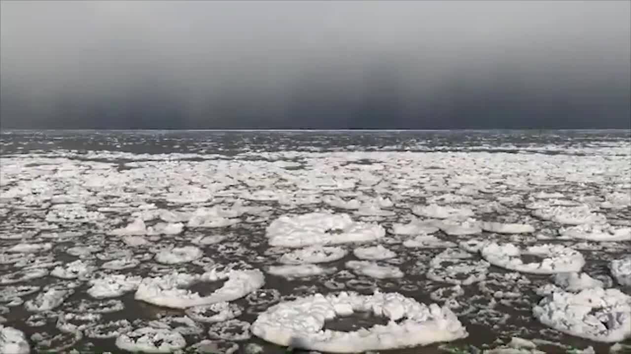 ‘Frosted donuts’ spotted on Lake Erie
