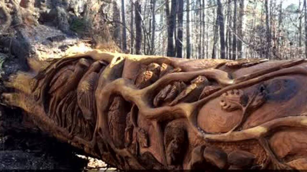 A chainsaw turns debris into art, deep in the heart of this state park