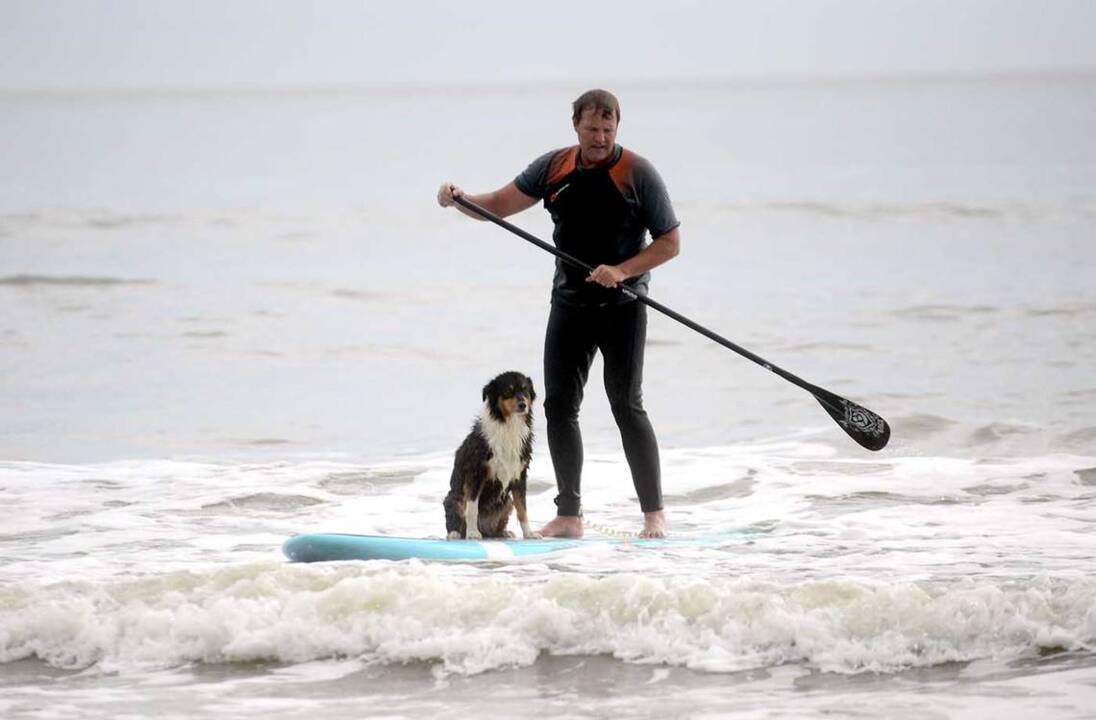 Man, dog paddleboard at Coligny Beach