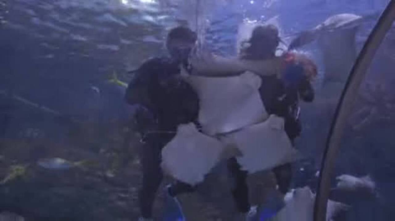 Savannah couple gets married underwater