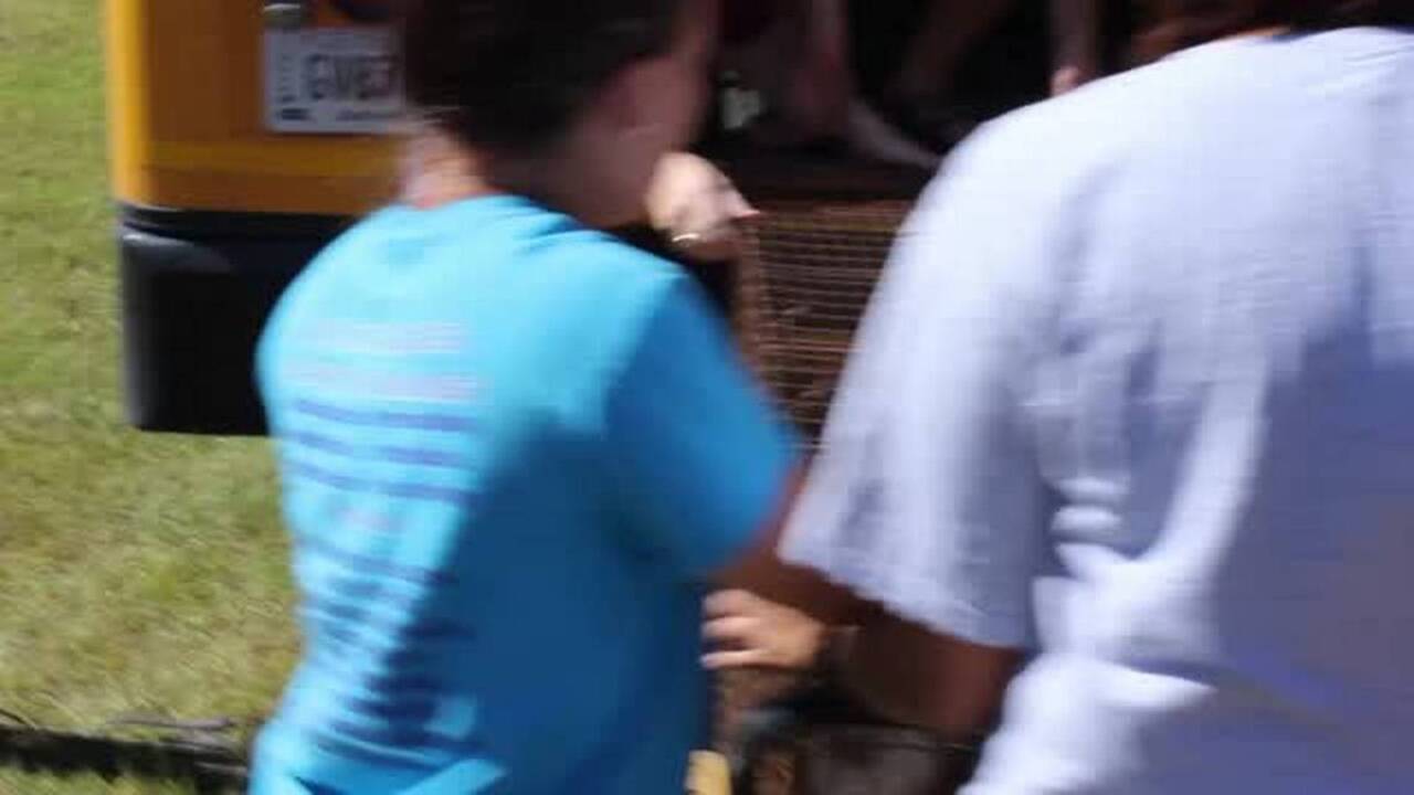 Savannah animals evacuated to escape Hurricane Matthew
