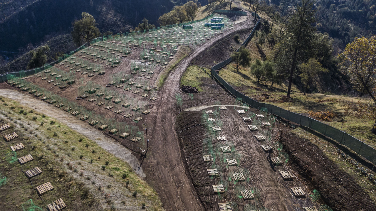 ‘We are stuck.’ Cannabis farmer blames El Dorado County sheriff for blocking permits