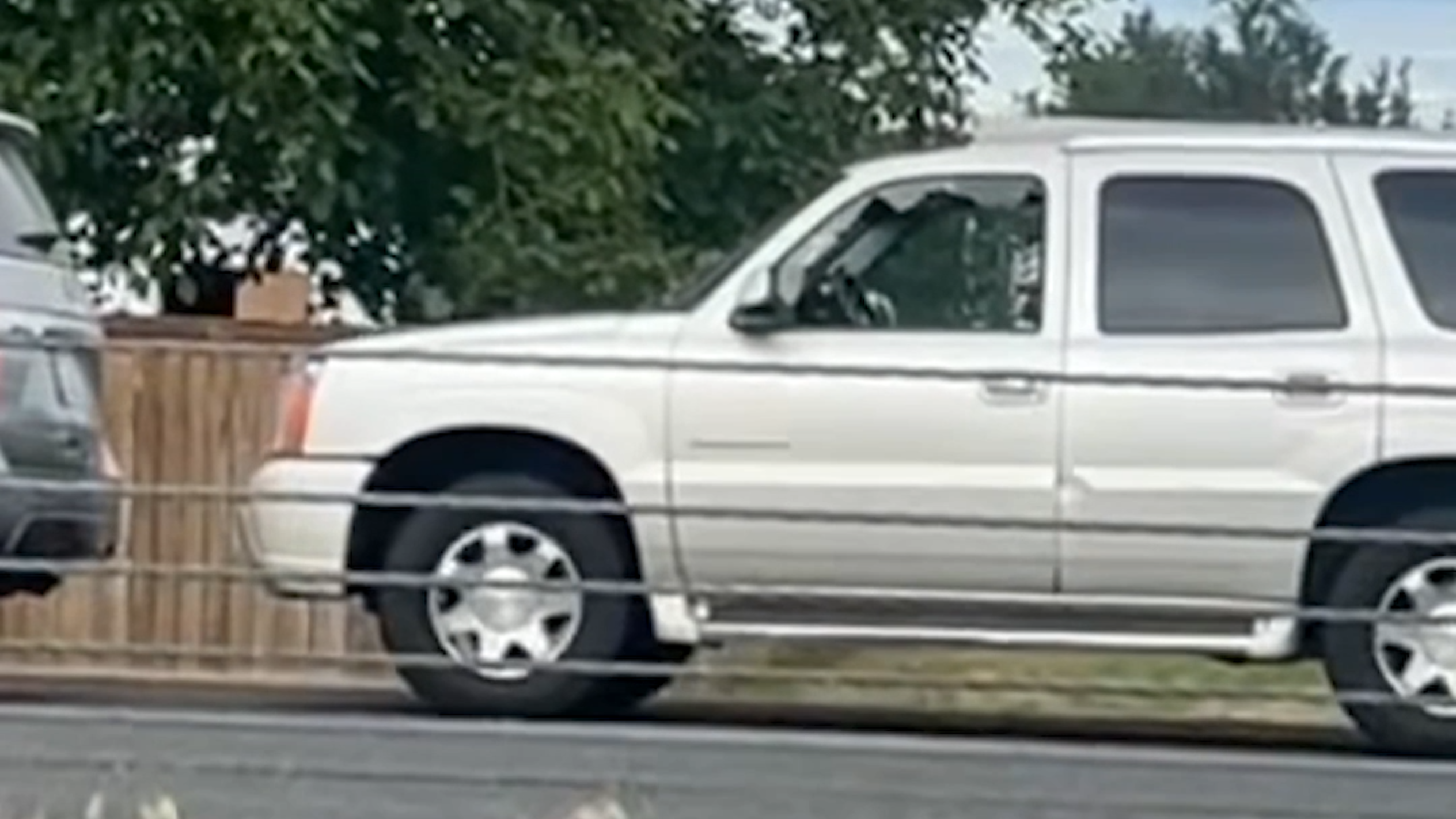 Video shows car window allegedly broken by masked ICE agents who detained the driver north of Bellingham