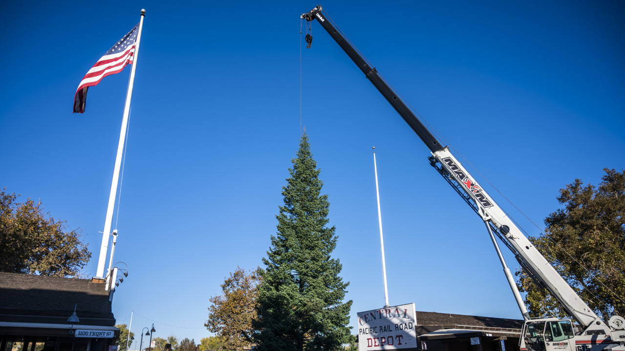 See Old Sacramento Christmas tree arrive and learn how COVID will change the festivities