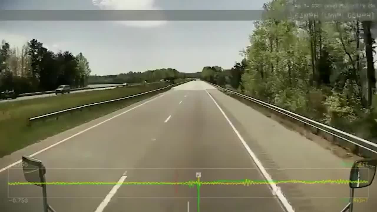 Fish crashes into truck’s windshield in North Carolina