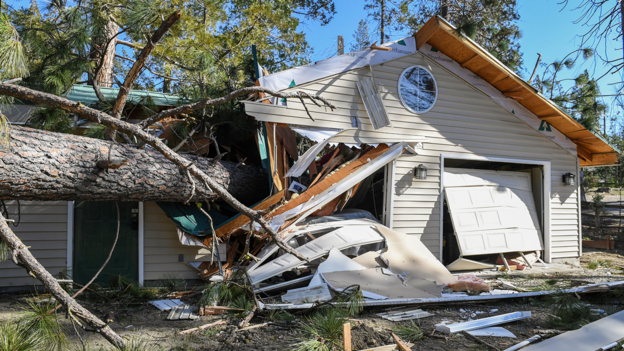 ‘Total war zone.’ Yosemite area hit hard by wind that toppled trees. What happens now?