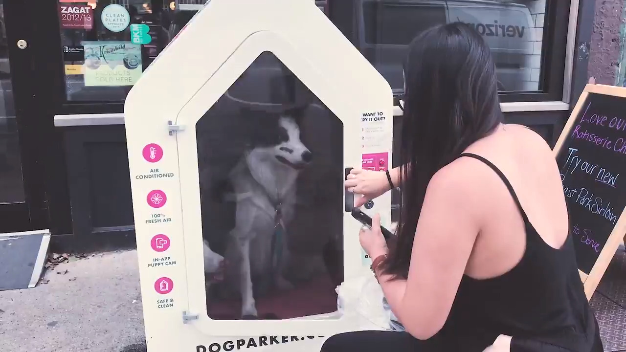 DogSpot offers high-tech doghouses where customers can park their pets