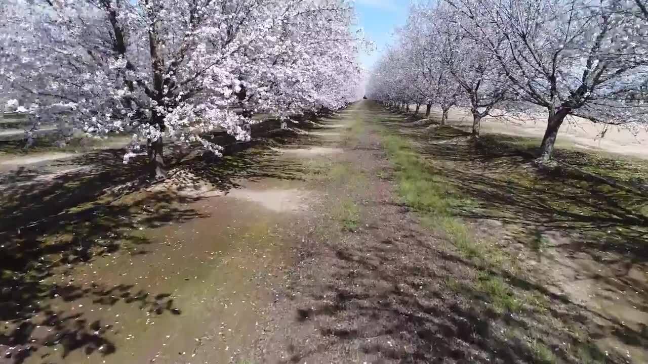 To feed the nation, California farmers must adapt to a warming climate, study says