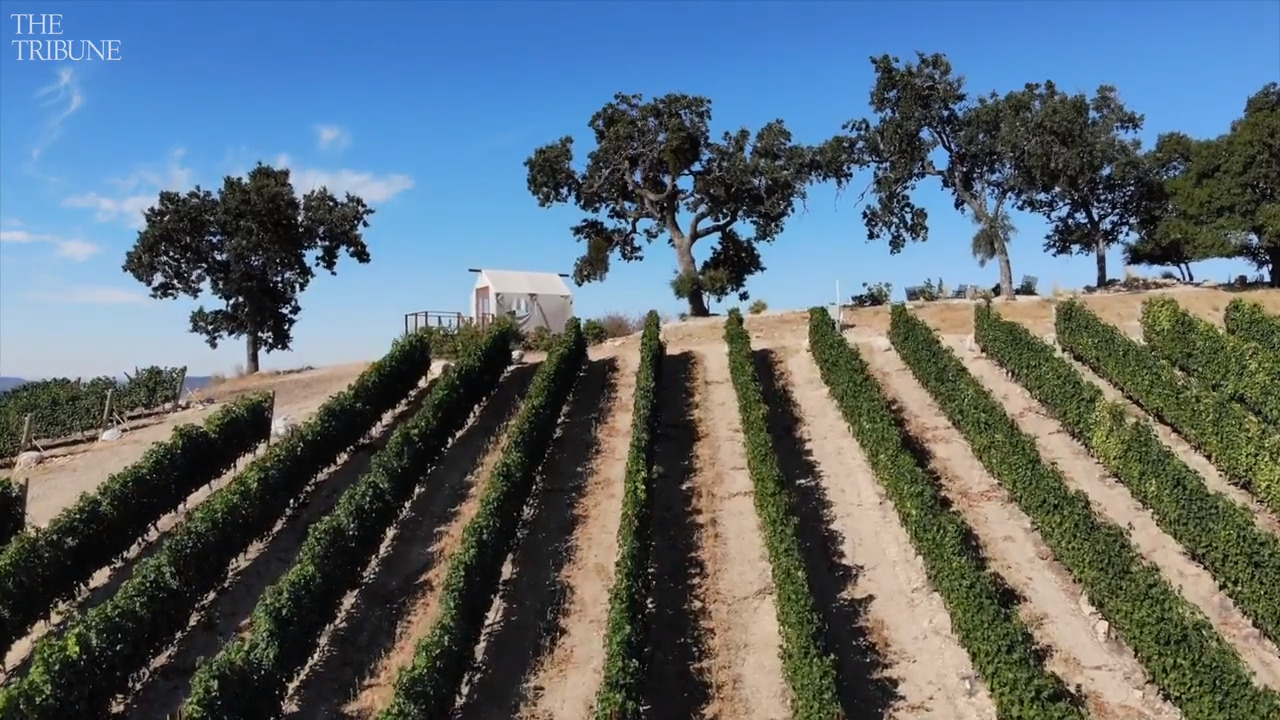 How did this Paso winery become region’s fastest rising star? ‘The wow factor’