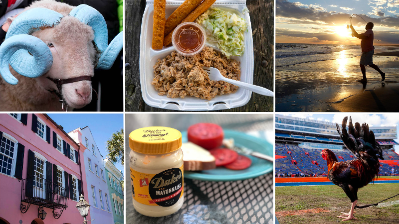 North Carolina vs South Carolina? It’s no contest, the Tar Heel state is the best