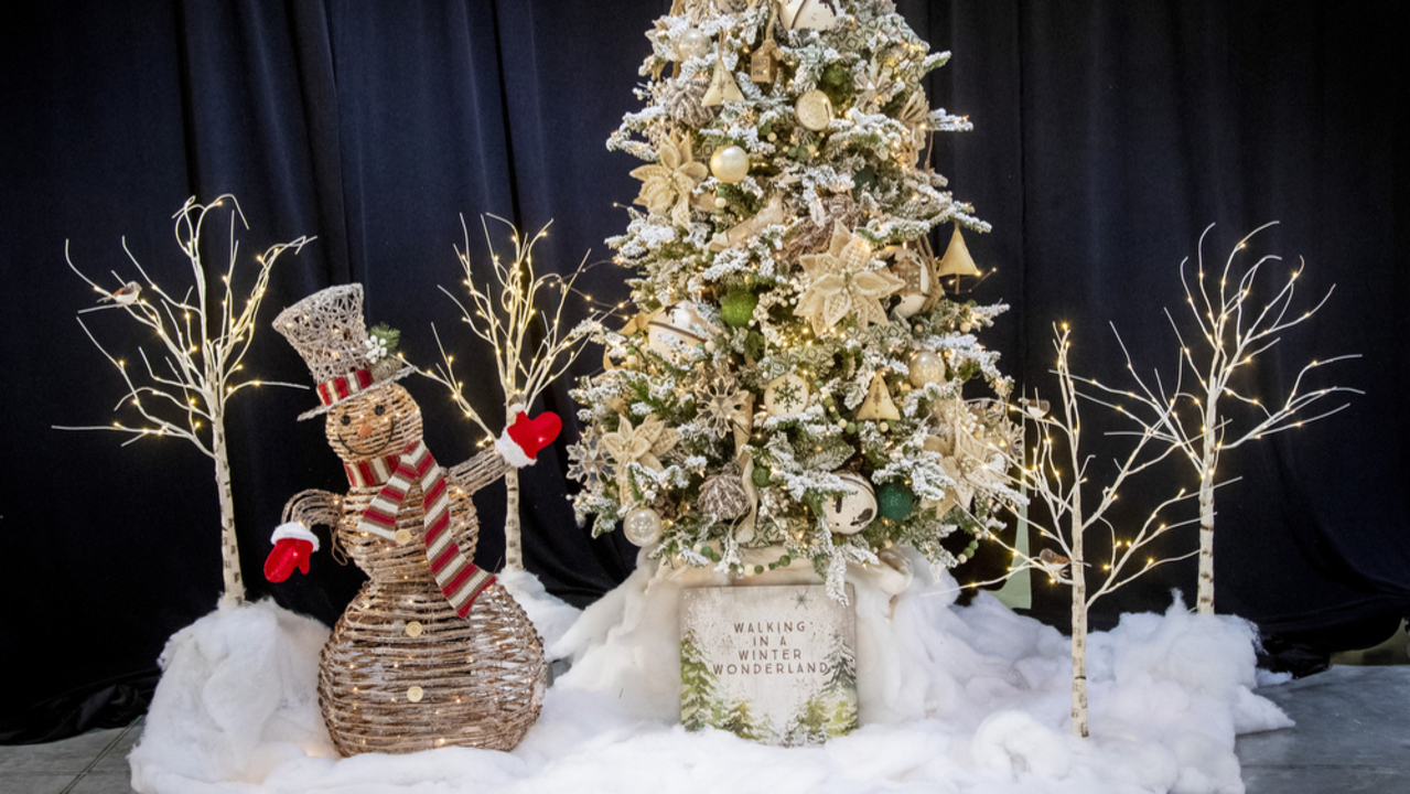 Tour the Festival of Trees (virtually)