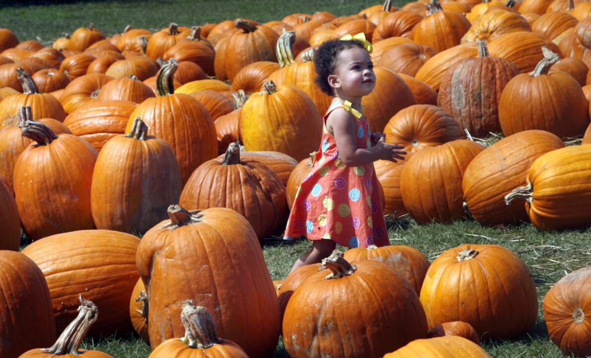 Looking for scary or family-friendly Halloween events on the Coast? Here’s a full schedule.