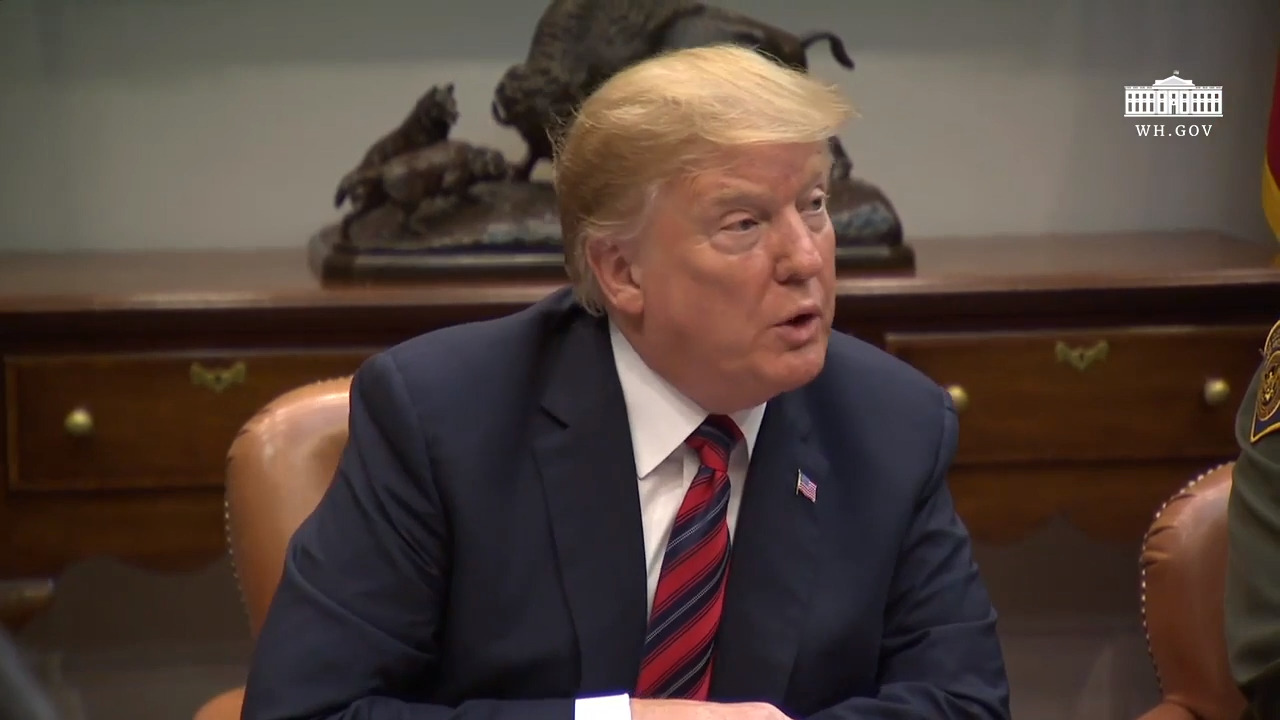 Trump issues order to ground Boeing 737 Max planes
