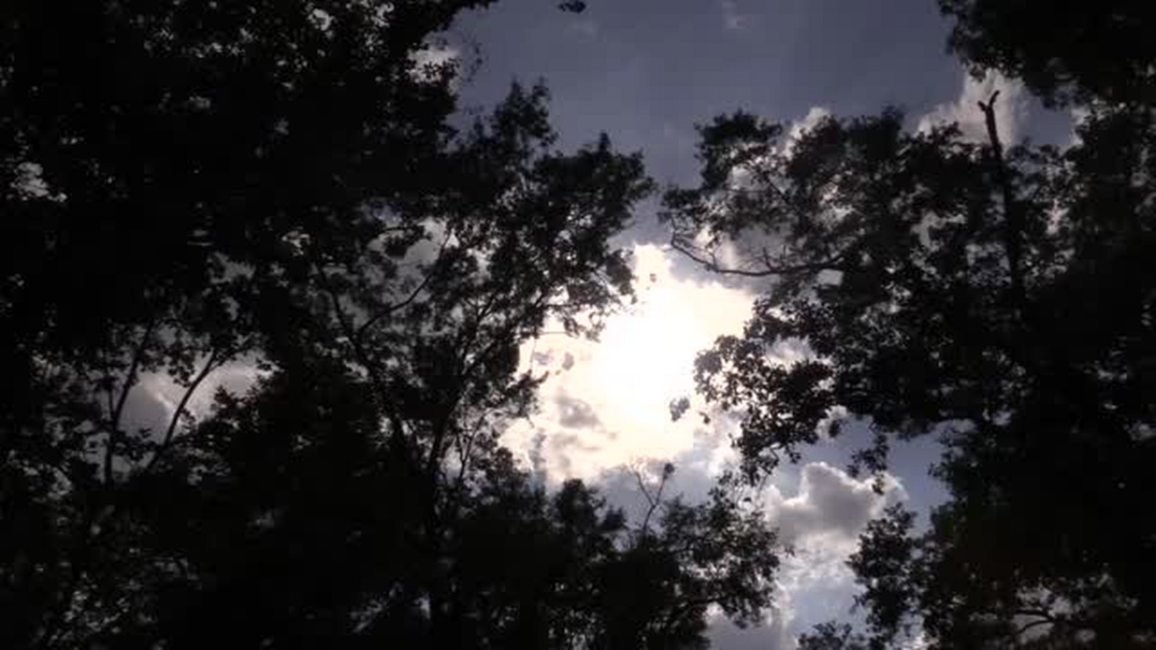 What you need to know to view the eclipse in Columbia