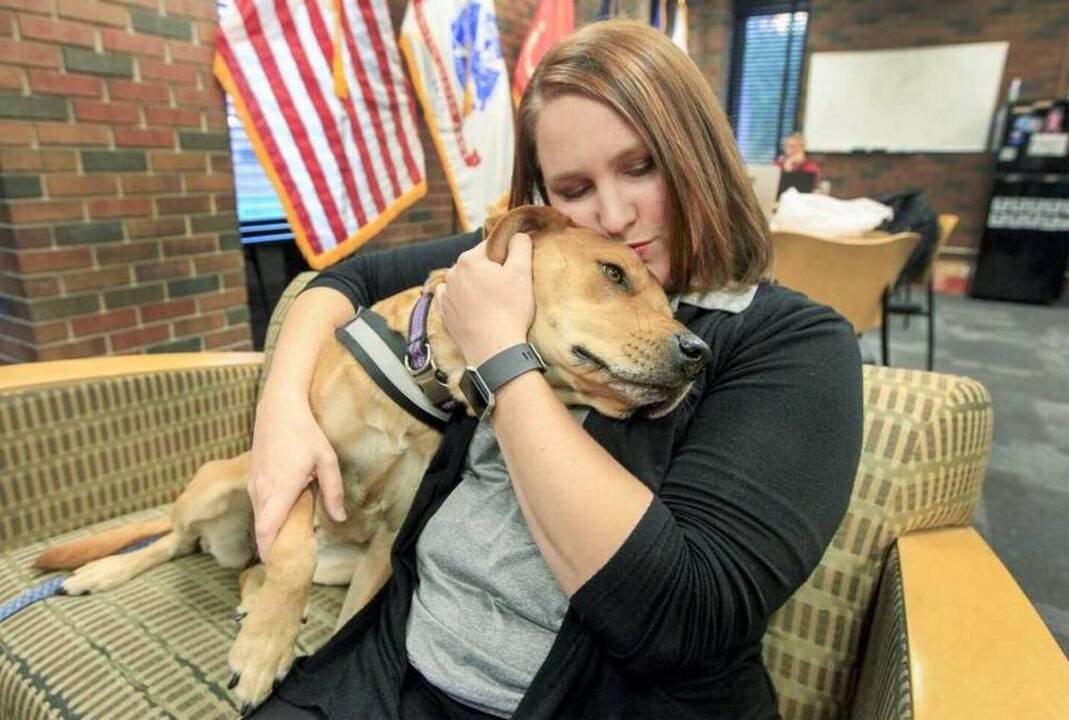 Therapy dog provides comfort for students who are veterans
