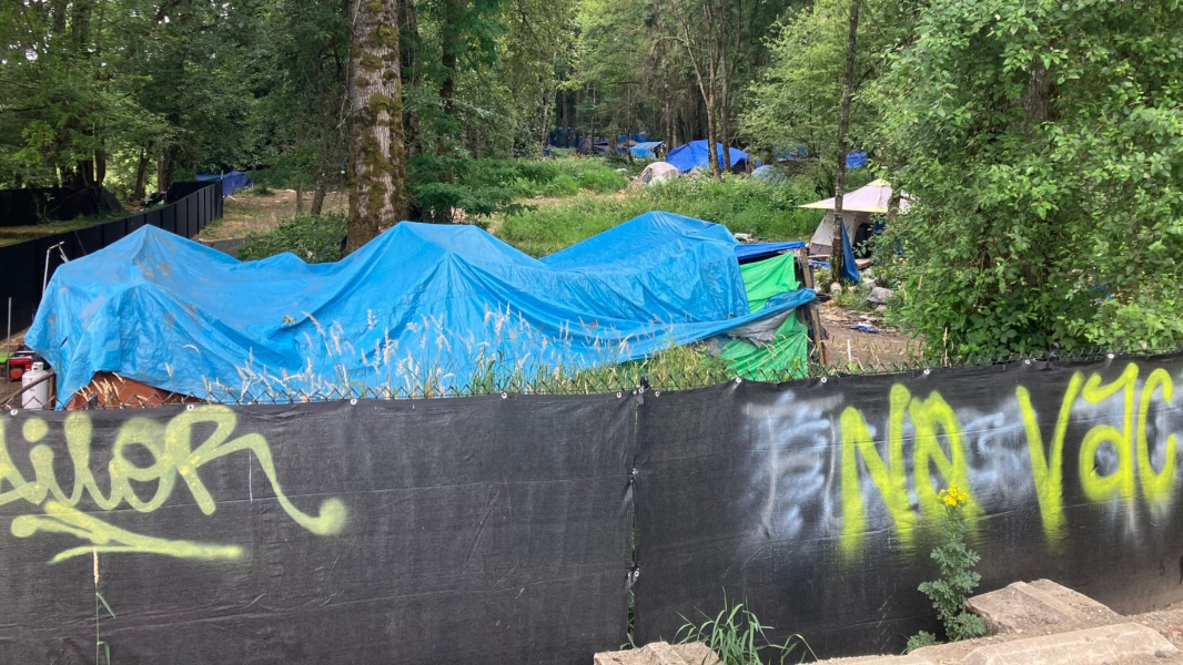Olympia mayor announces plan to close 'Jungle' encampment