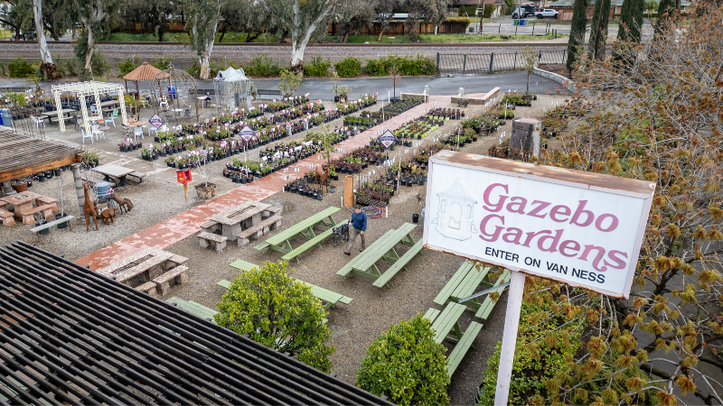 Looking to grow a garden in Fresno County? Here’s what to plant — and to avoid
