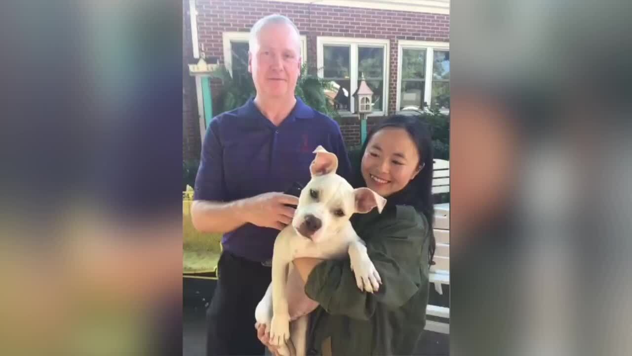 As Florence approaches NC, rescue finds foster home for 124 dogs
