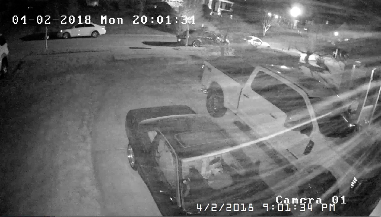 Pesky pine pollen permeates the Triangle. But it's likely not causing your sneeze.