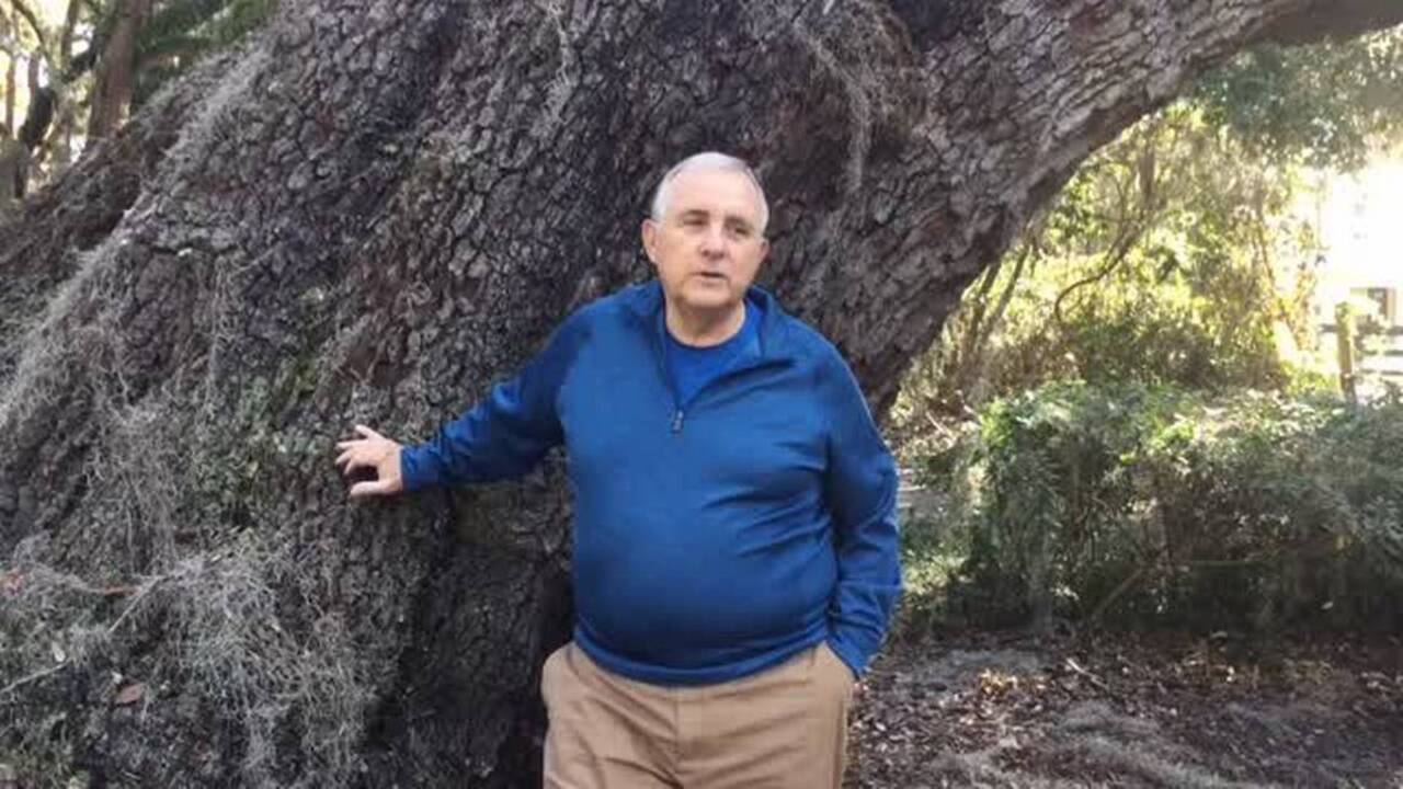 Bluffton Historical Preservation Society ponders future of fallen oak