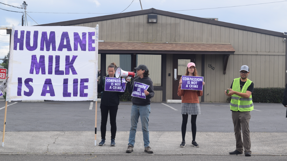 Activists protest felony charges after rescuing sick goats from supplier of Turlock-based goat milk brand