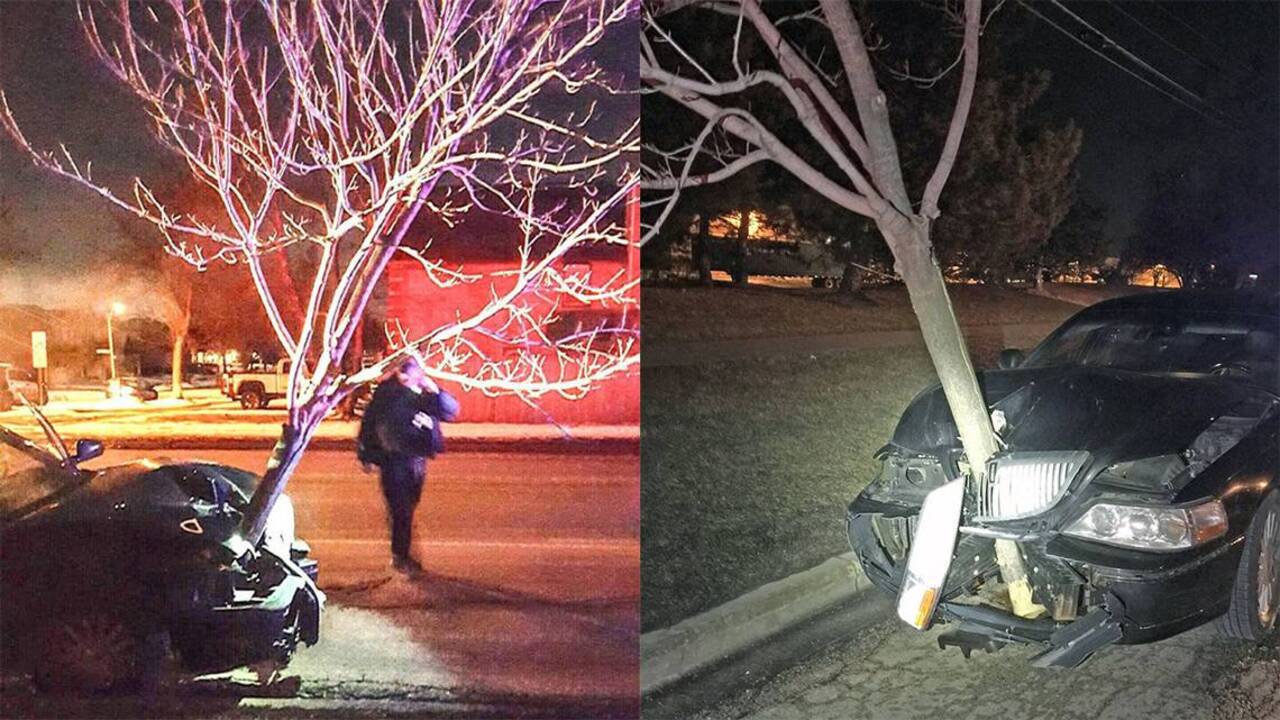 Cop pulls over driver with tree embedded in grille of car