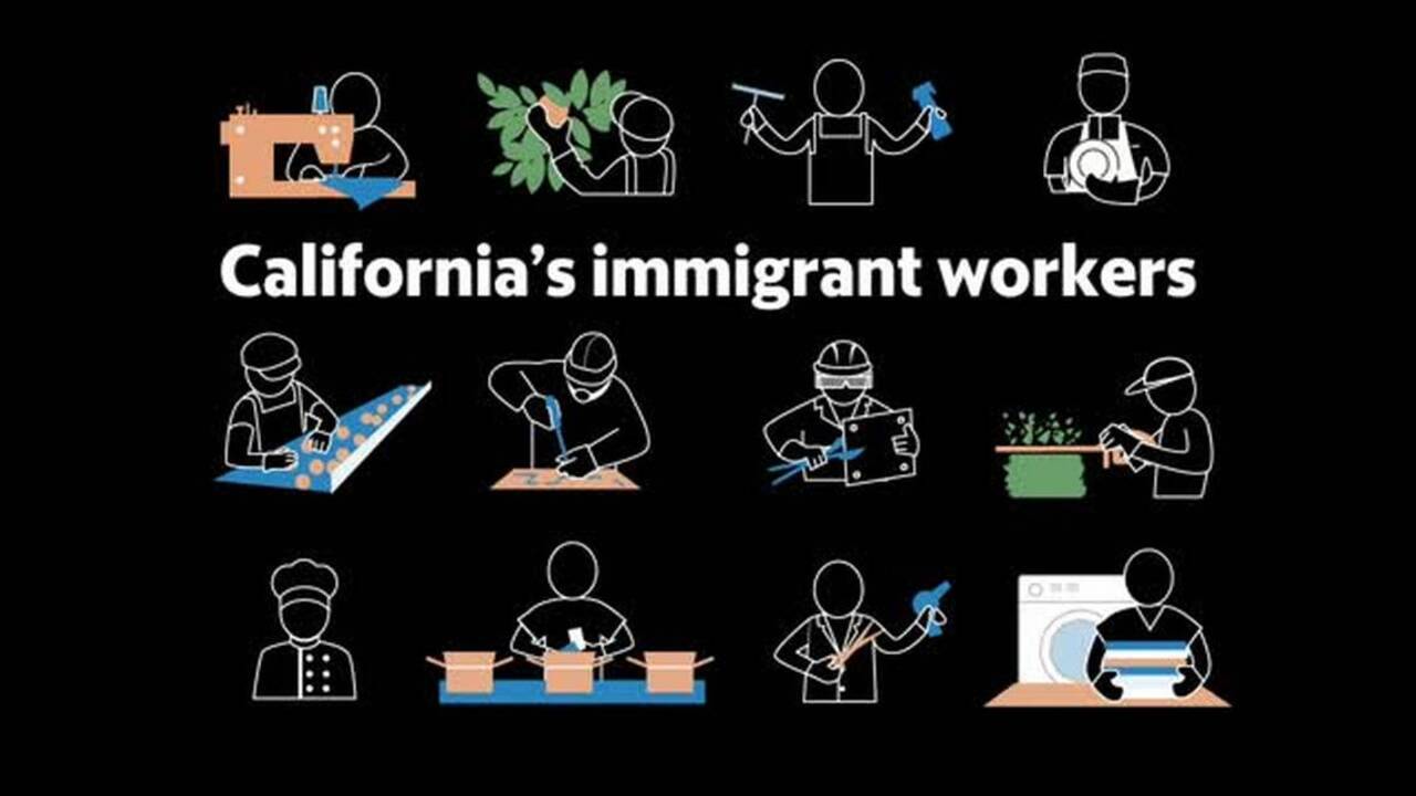 Most California dentists are immigrants. Where else do immigrants work?
