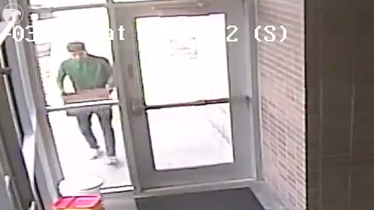 Humane society looking for man who left 'very sick' puppies outside building