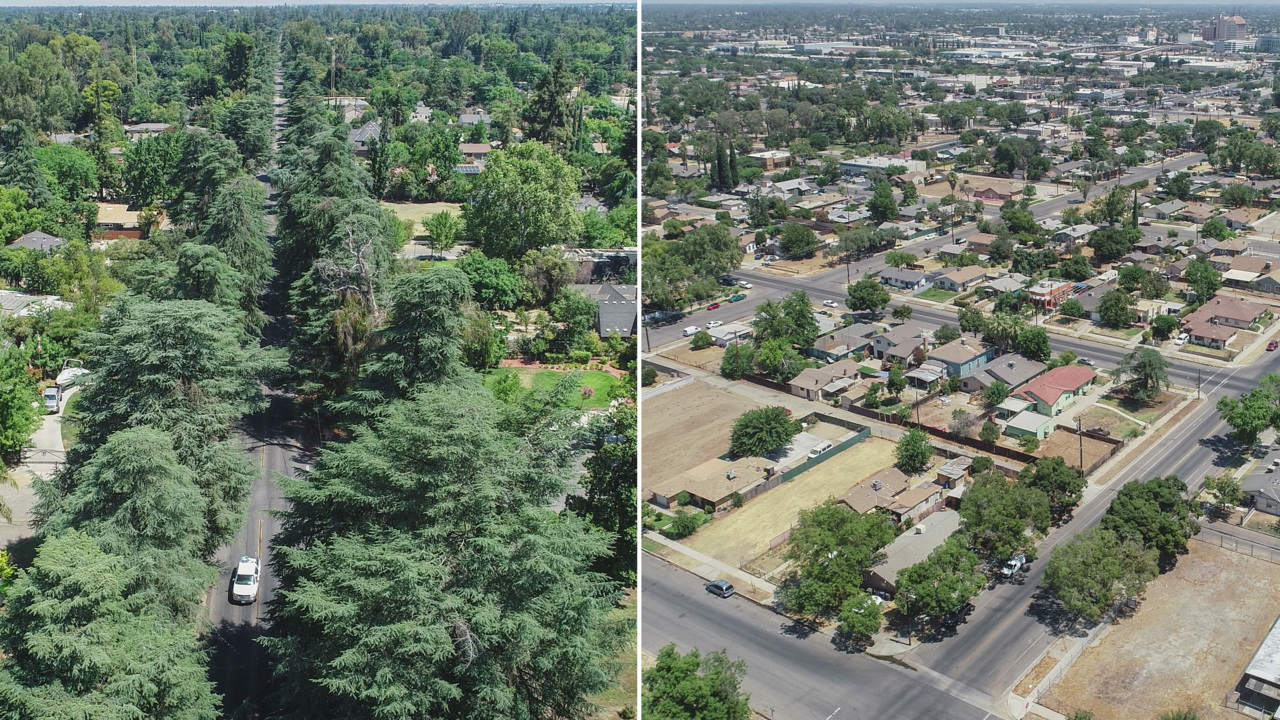 Thousands of trees for Fresno’s underserved neighborhoods? Here’s what city leaders say