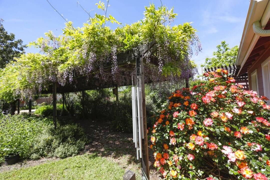 Tour a peaceful garden oasis at this Atascadero colony-era home