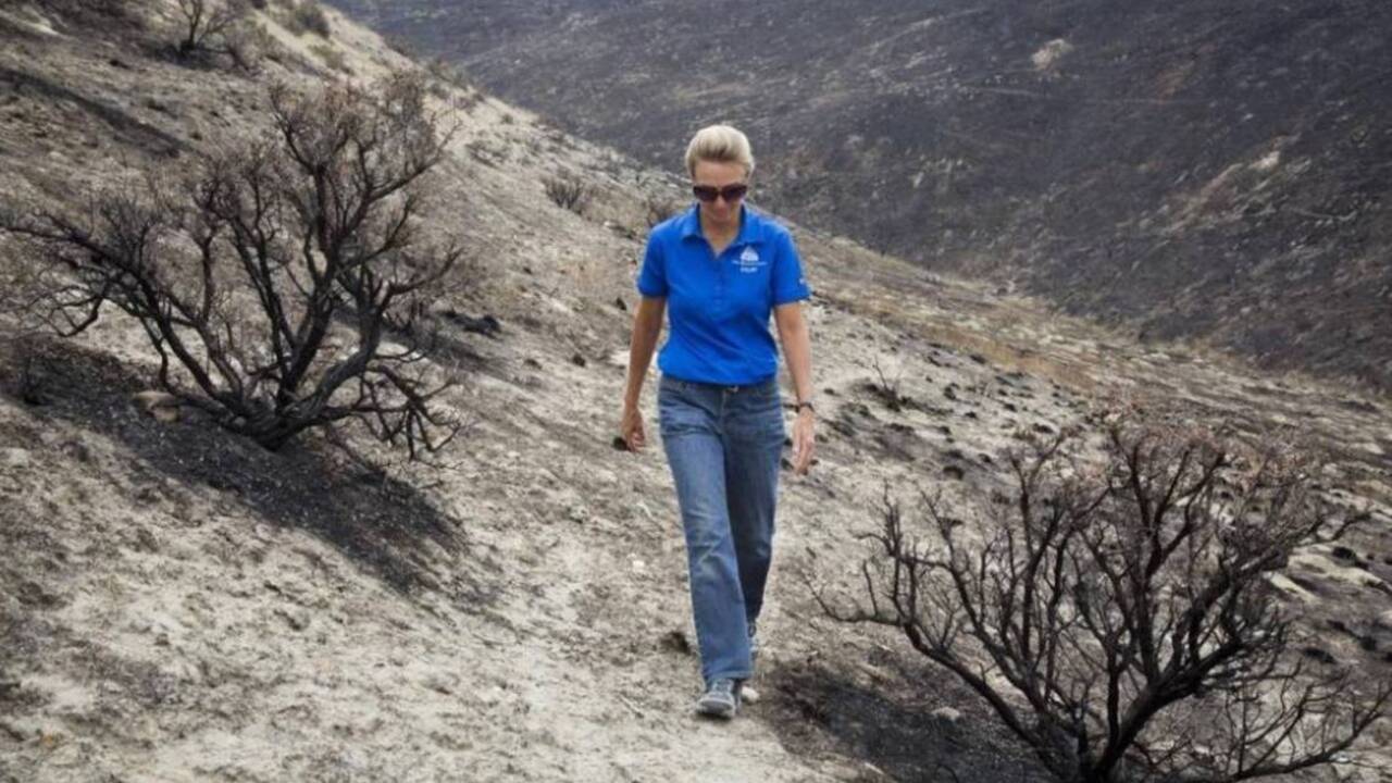A botanist visits Table Rock after its June 2016 fire