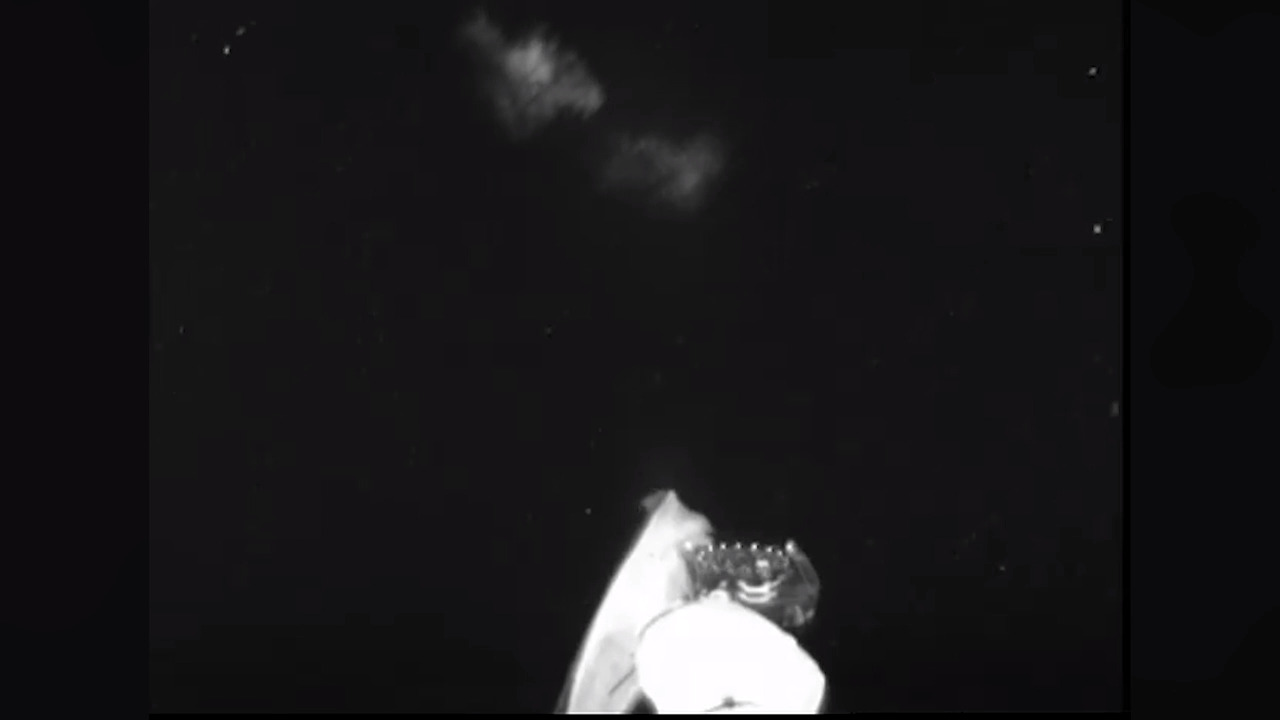 Shrimp spews bioluminescence in ocean expedition video