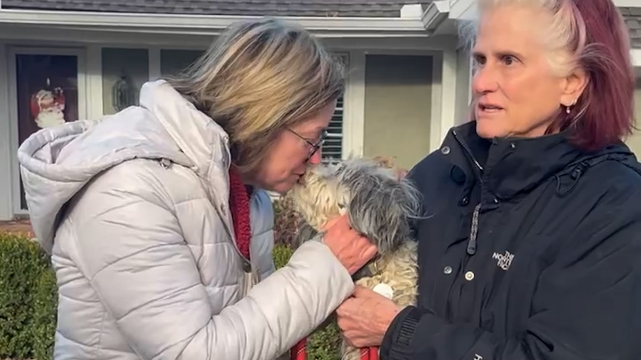 The search for Gracie: How she made it home