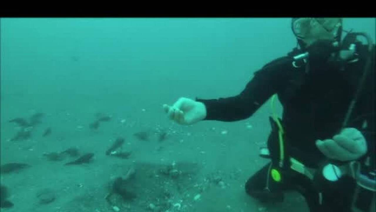 The 1838 shipwreck was 'the Titanic of its time.' Divers just made an eerie discovery.