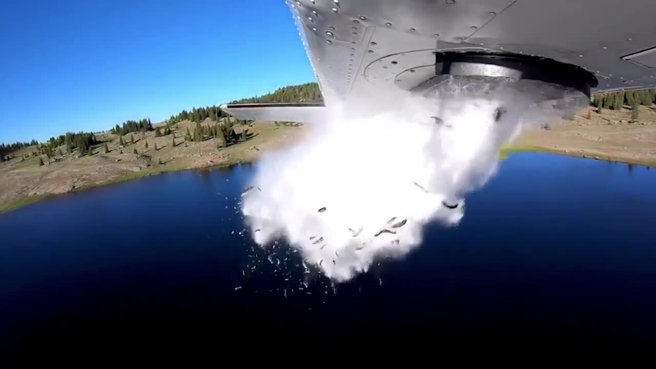 Trout are dumped from plane to stock remote, high-mountain lake in Utah