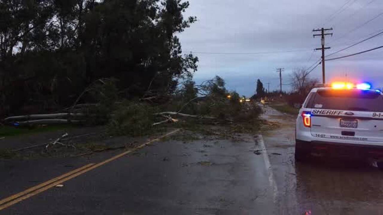 Storm takes down power lines and trees