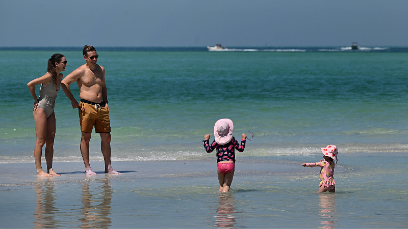 Anna Maria Island's Bean Point popular with tourists and sharks